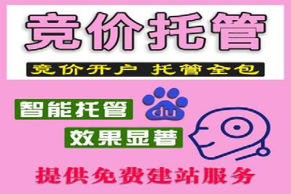 百度推广优化策略案例分析